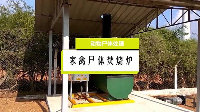 动物尸体焚烧炉